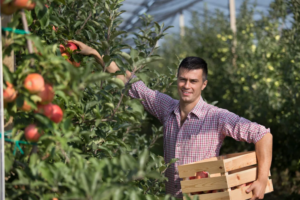 David Buck Apple
